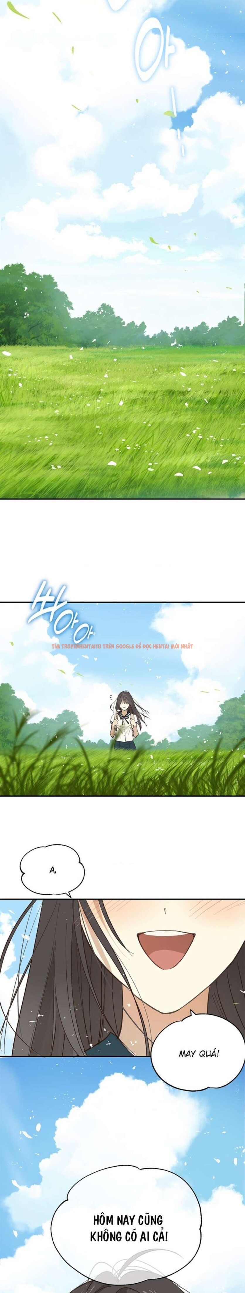 Trang truyện 8 0 trong truyện tranh [không Che] [18+] Đóa Hoa Là Mồi Nhử - Chapter 36 - zhentaivn.pro