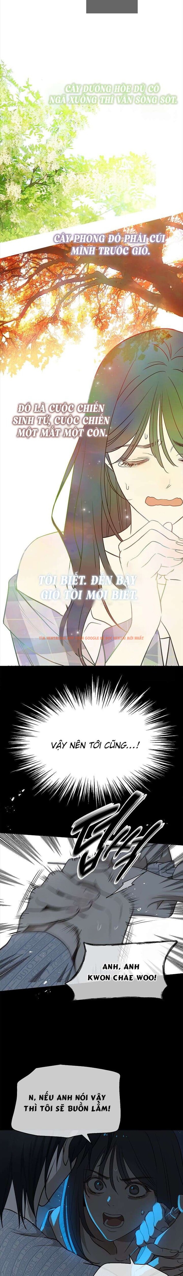 Xem ảnh 1 1 trong truyện hentai [không Che] [18+] Đóa Hoa Là Mồi Nhử - Chapter 4 - hentaitvn.net