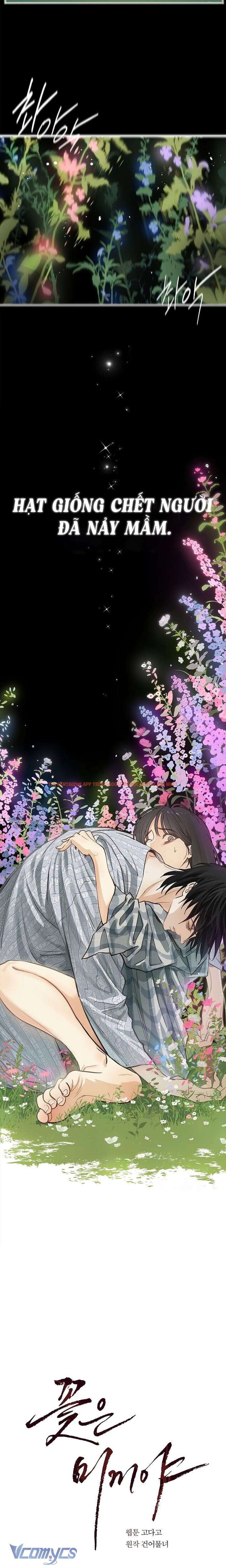 Xem ảnh 4 2 trong truyện hentai [không Che] [18+] Đóa Hoa Là Mồi Nhử - Chapter 4 - hentaitvn.net