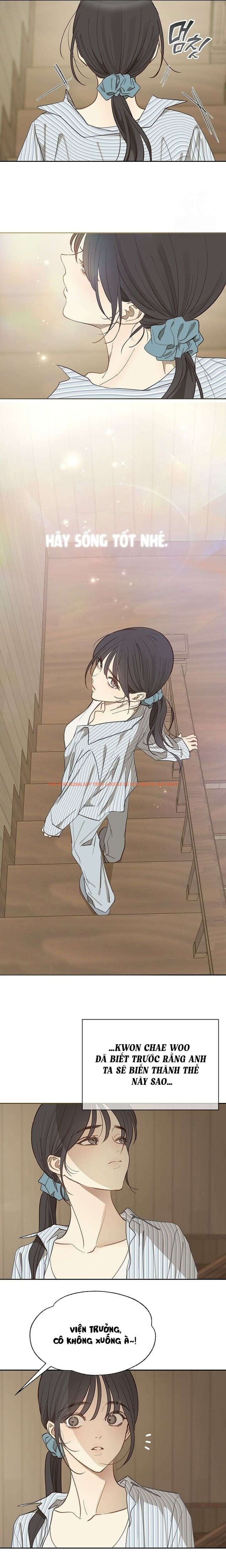 Xem ảnh 8 0 trong truyện hentai [không Che] [18+] Đóa Hoa Là Mồi Nhử - Chapter 8 - hentaitvn.net