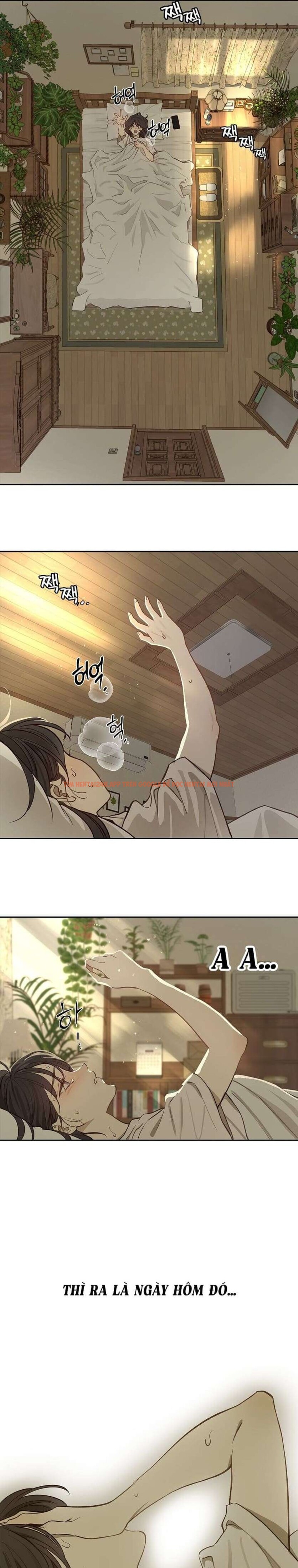 Xem ảnh [không Che] [18+] Đóa Hoa Là Mồi Nhử - Chapter 9 - 2 0 - Truyenhentaiz.net