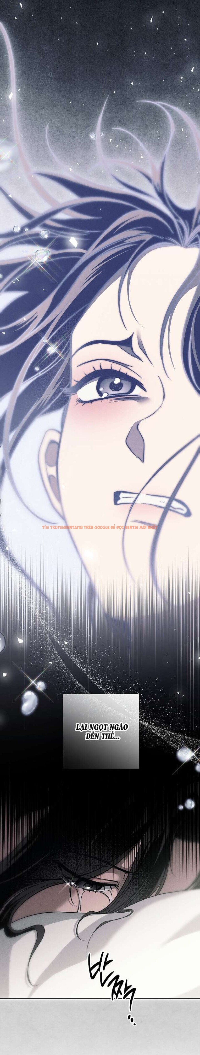 Xem ảnh 8 0 trong truyện hentai [không Che] [18+] Tiểu Thư Quá Tò Mò - Chapter 18 - hentaitvn.net