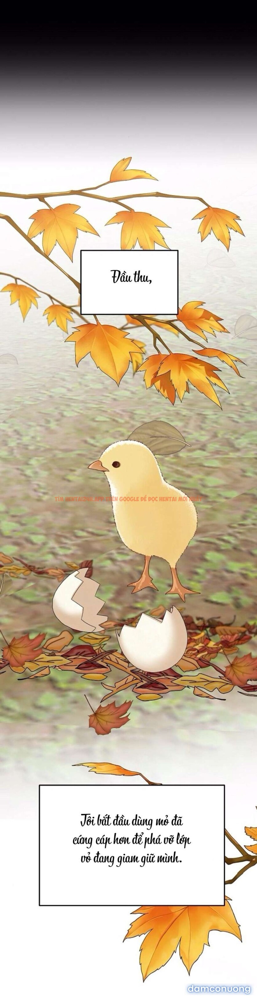 Xem ảnh 33 trong truyện hentai 〖18+〗- Cẩn Thận Va Phải Tình Yêu - Chapter 29 - hentaitvn.net