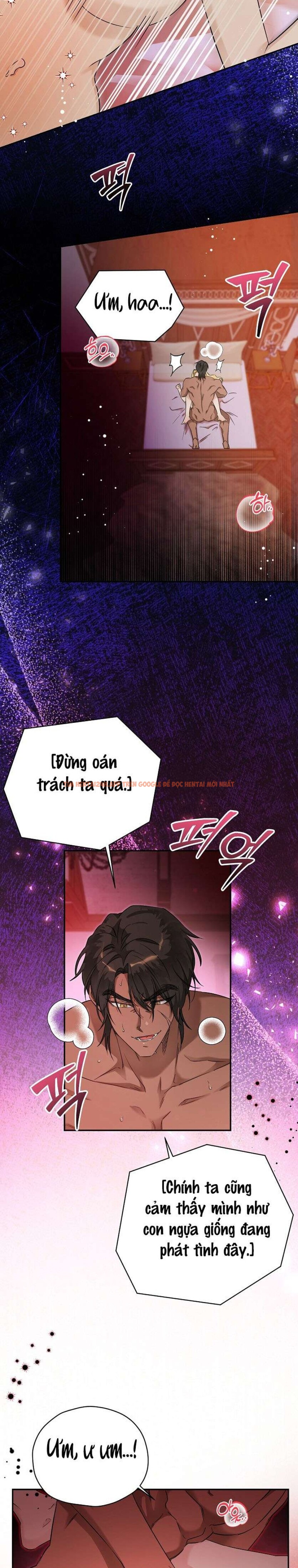 Xem ảnh 2 2 trong truyện hentai 〖18+〗- Nàng Dâu Của Tộc Man Rợ - Chapter 6 - hentaitvn.net