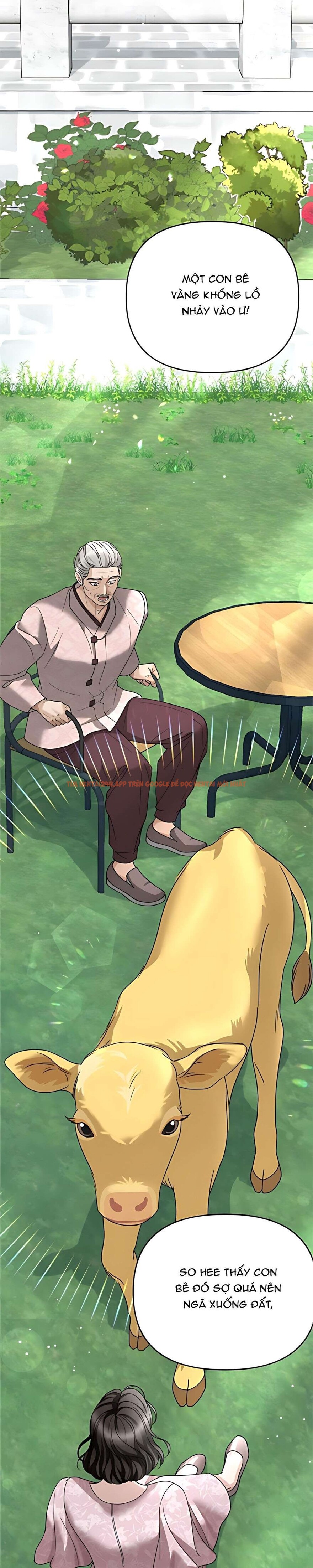 Xem ảnh 11 2 trong truyện hentai 〖18+〗- Người Chồng Dao Động - Chapter 11 - hentaitvn.net