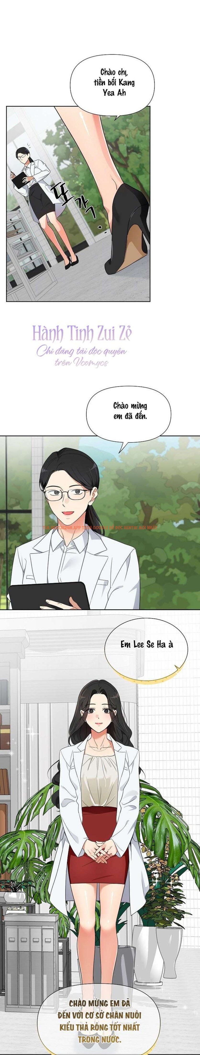 Xem ảnh 〖18+〗- Những Con Đực Trong Phòng Nhân Giống - Chapter 1 - 2 1 - Truyenhentaiz.net