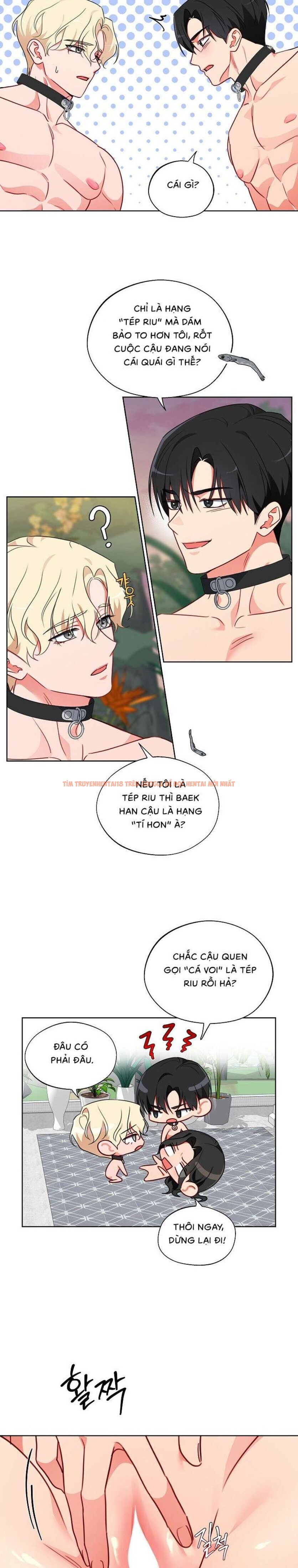 Xem ảnh 〖18+〗- Những Con Đực Trong Phòng Nhân Giống - Chapter 15 - 5 1 - Truyenhentaiz.net