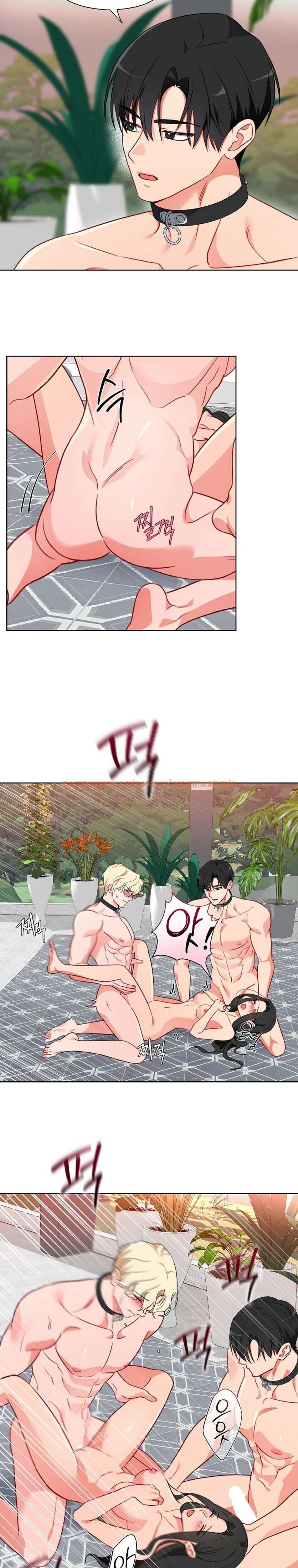 Xem ảnh 〖18+〗- Những Con Đực Trong Phòng Nhân Giống - Chapter 15 - 5 4 - Truyenhentaiz.net