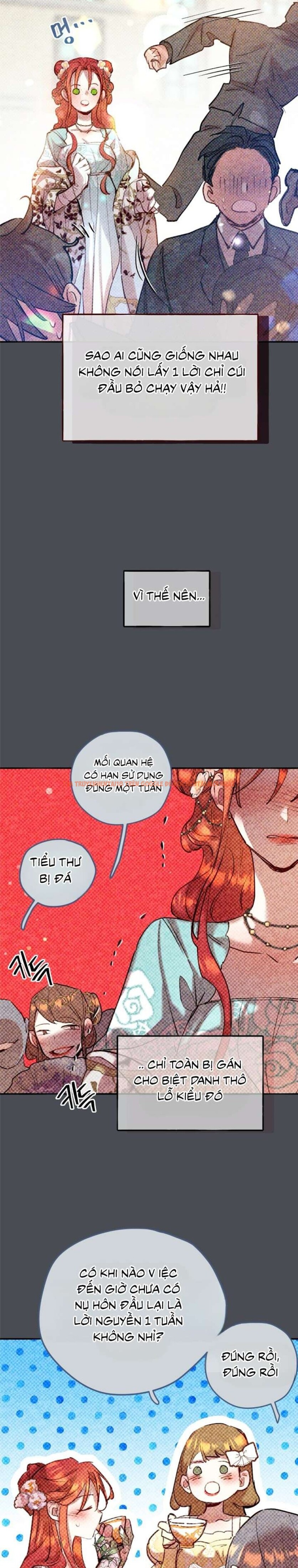 Xem ảnh 『18+』hãy Ăn Dâu Tây Đi Ạ - Chapter 1 - 8 5 - Truyenhentaiz.net