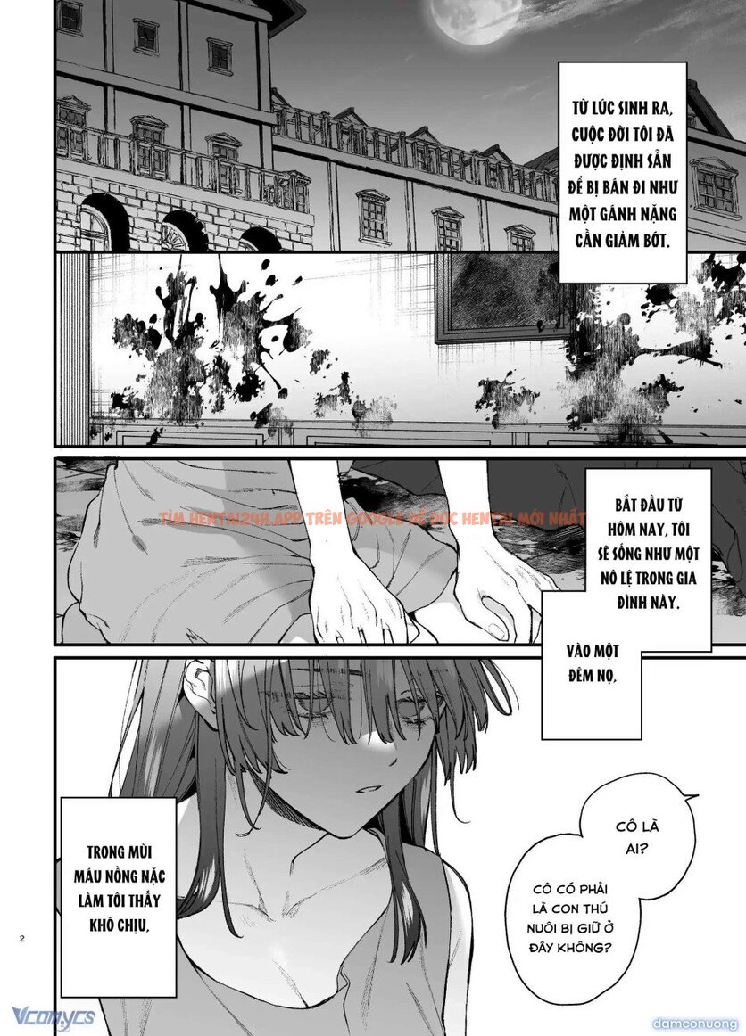Xem ảnh 2 trong truyện hentai 『18+』tuyển Tập Truyện Ngắn Sếch Tàn Bạo - Chapter 16.1 - www.hentaitvn.net