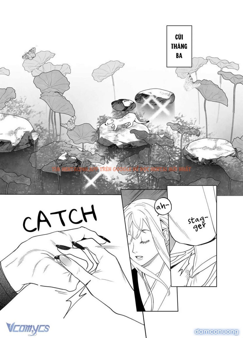 Xem ảnh 28 trong truyện hentai 『18+』tuyển Tập Truyện Ngắn Sếch Tàn Bạo - Chapter 73.1 - www.hentaitvn.net