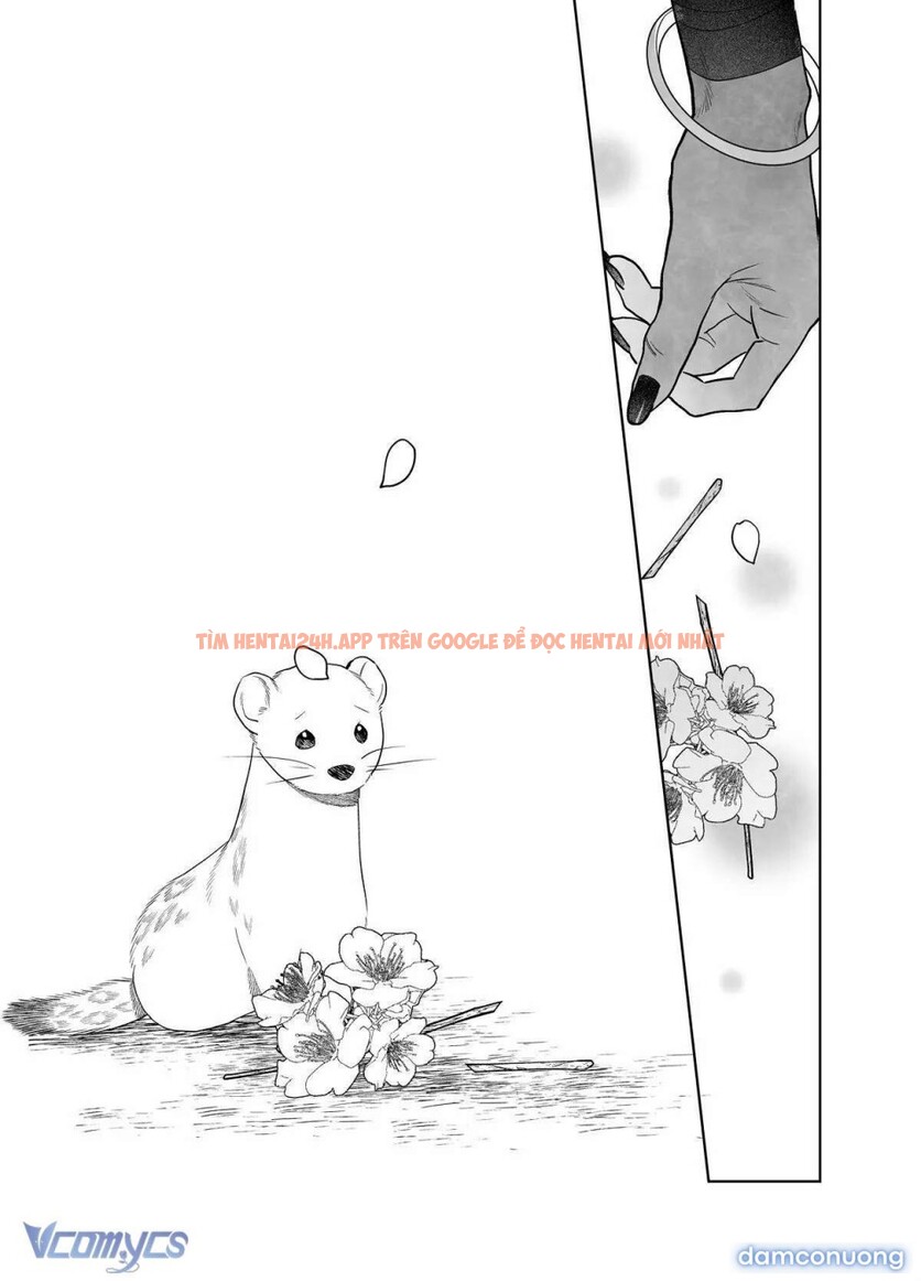 Xem ảnh 37 trong truyện hentai 『18+』tuyển Tập Truyện Ngắn Sếch Tàn Bạo - Chapter 73.1 - www.hentaitvn.net