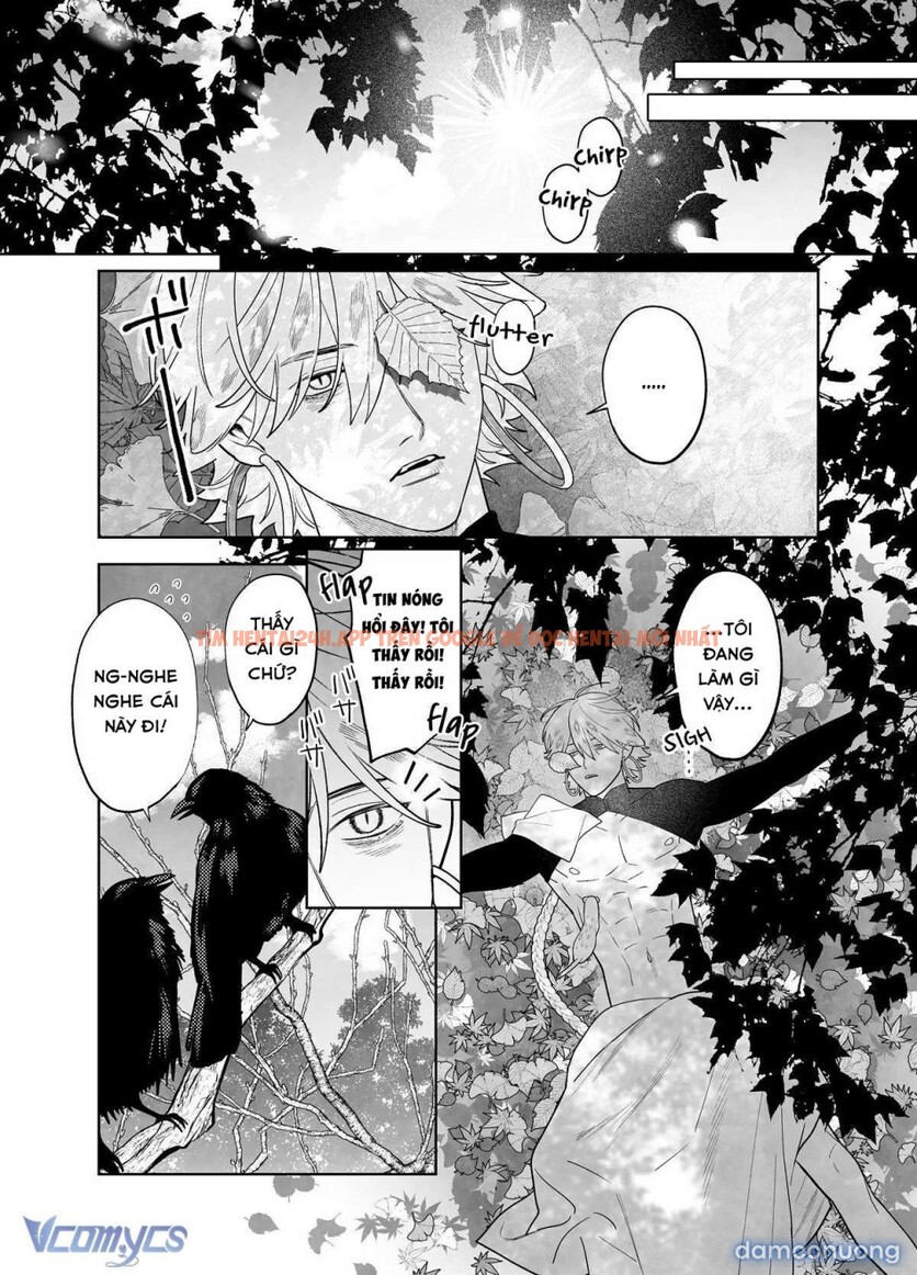 Xem ảnh 43 trong truyện hentai 『18+』tuyển Tập Truyện Ngắn Sếch Tàn Bạo - Chapter 73.1 - www.hentaitvn.net