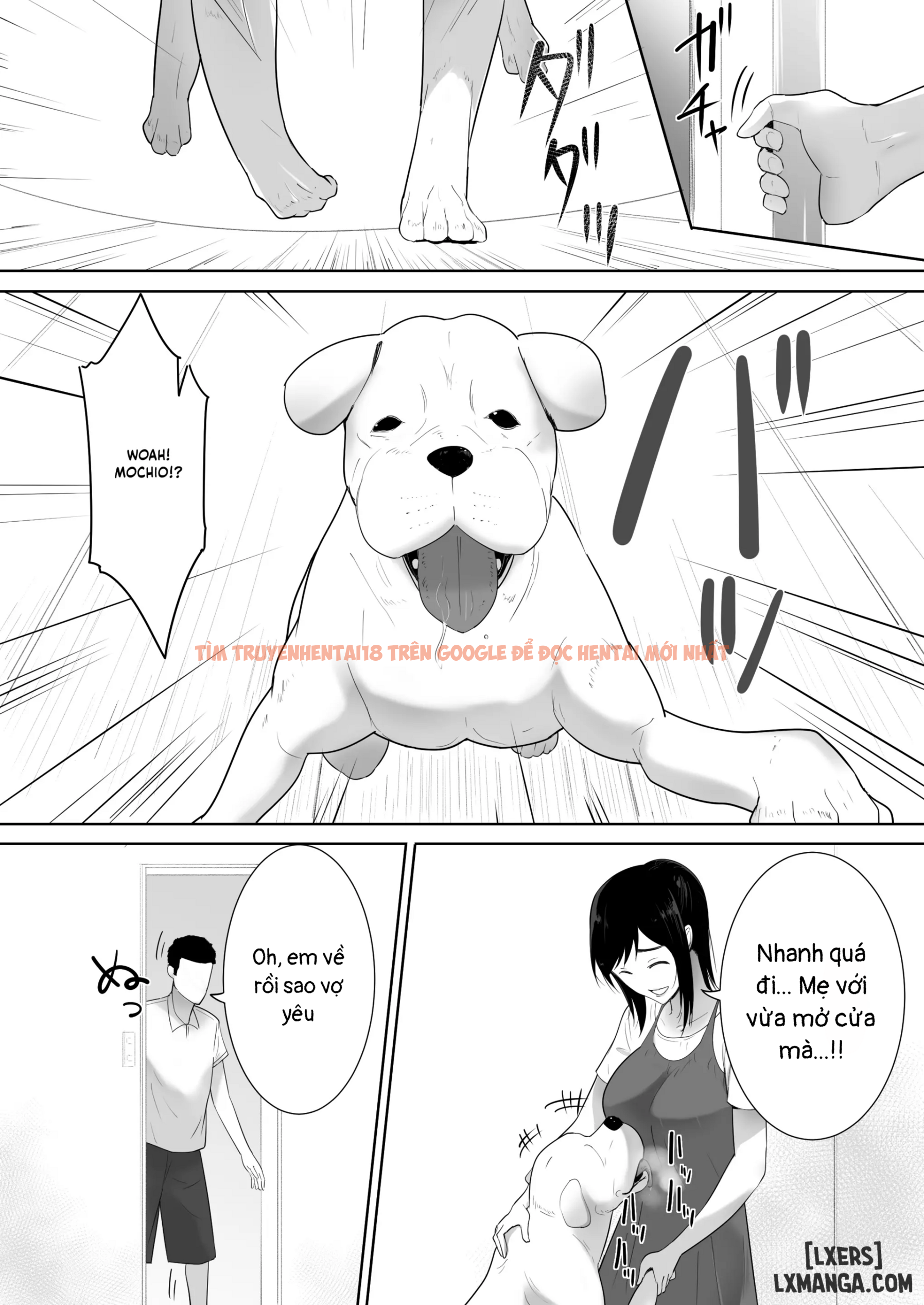 Xem ảnh 5 6885b6d03f44c trong truyện hentai A Dog Came To My House 2 - 1 - hentaitvn.net
