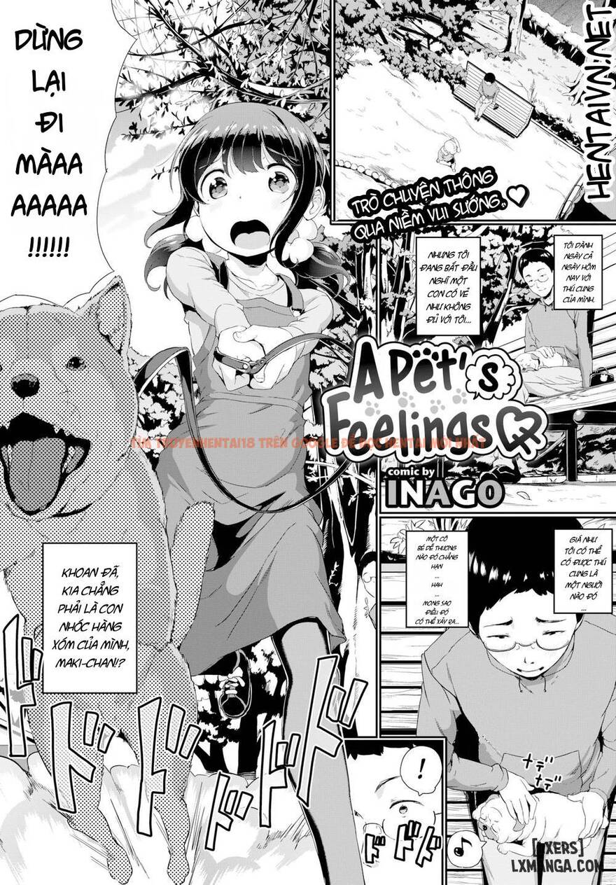 Xem ảnh 0 trong truyện hentai A Pet's Feelings - One Shot - hentaitvn.net