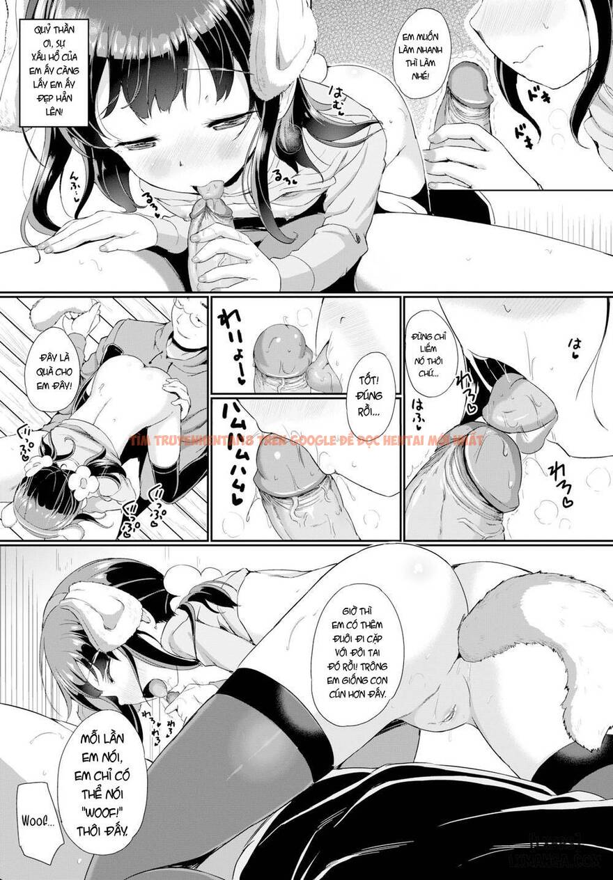 Xem ảnh 6 trong truyện hentai A Pet's Feelings - One Shot - hentaitvn.net