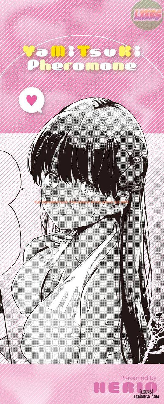 Xem ảnh Addictive Pheromone - Chapter 1 - 3 - TruyenVN.APP