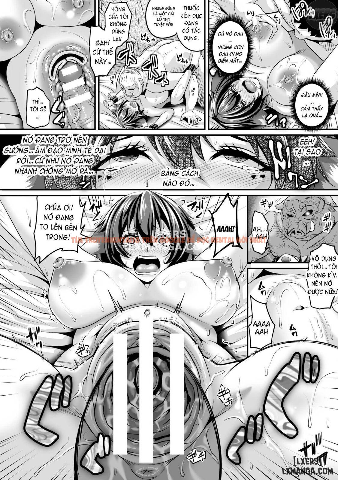 Trang truyện 10 trong truyện tranh Aijou No Injoku Elf - Chapter 7 - www.truyentvn.net