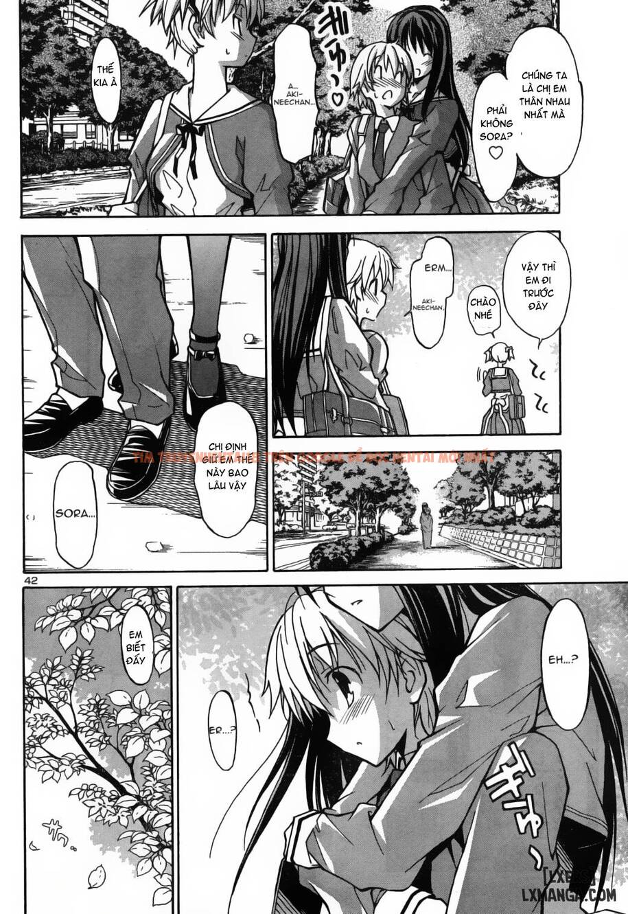 Trang truyện 52 trong truyện tranh Aki Sora - Chapter 1 - hentai24h.pro