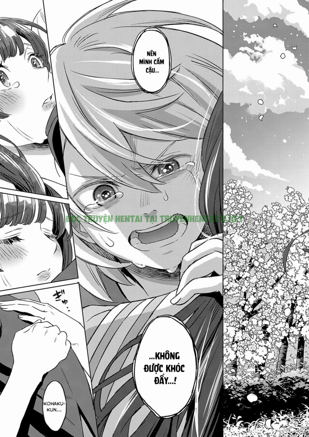 Hình ảnh 14 trong Amber Town, The Season With Cherry Blossoms - One Shot - Hentaimanhwa.net