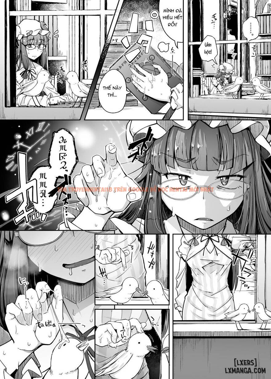 Xem ảnh 11 trong truyện hentai Ana To Muttsuri Dosukebe Daitoshokan 4 - One Shot - hentaitvn.net