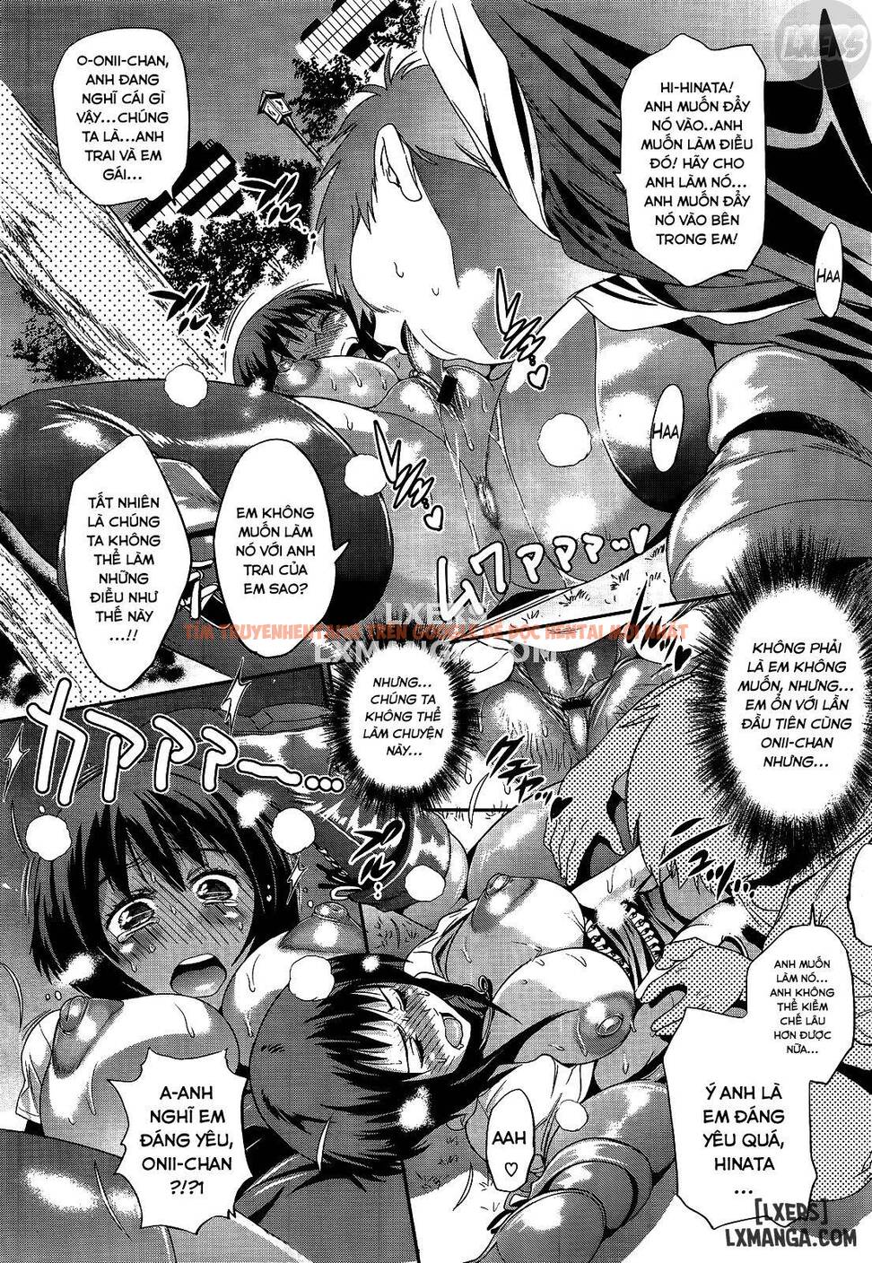 Xem ảnh Anekomori - Chapter 8 END - 17 - HentaiTruyen.fun
