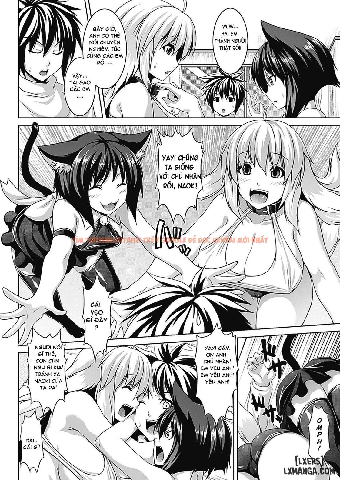 Xem ảnh 1 trong truyện hentai Bitch Harem - Chapter 2 - hentaitvn.net