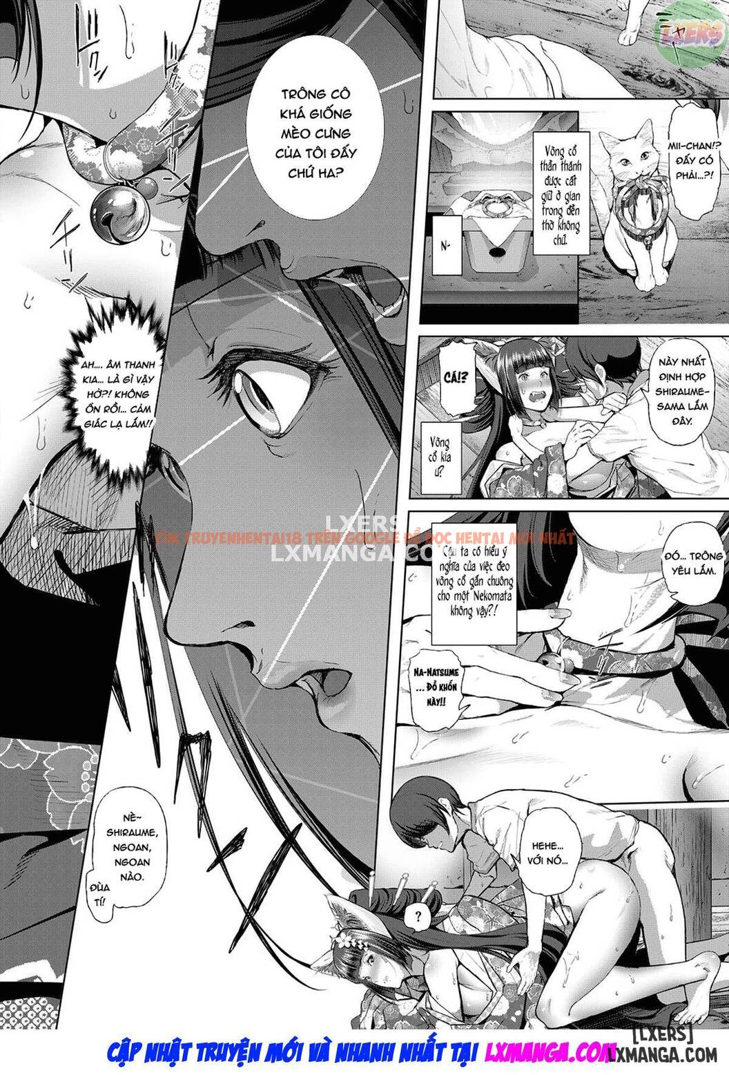 Trang truyện 26 trong truyện tranh Boy Meets Cat Goddess - Chapter 1 - zhentaivn.pro