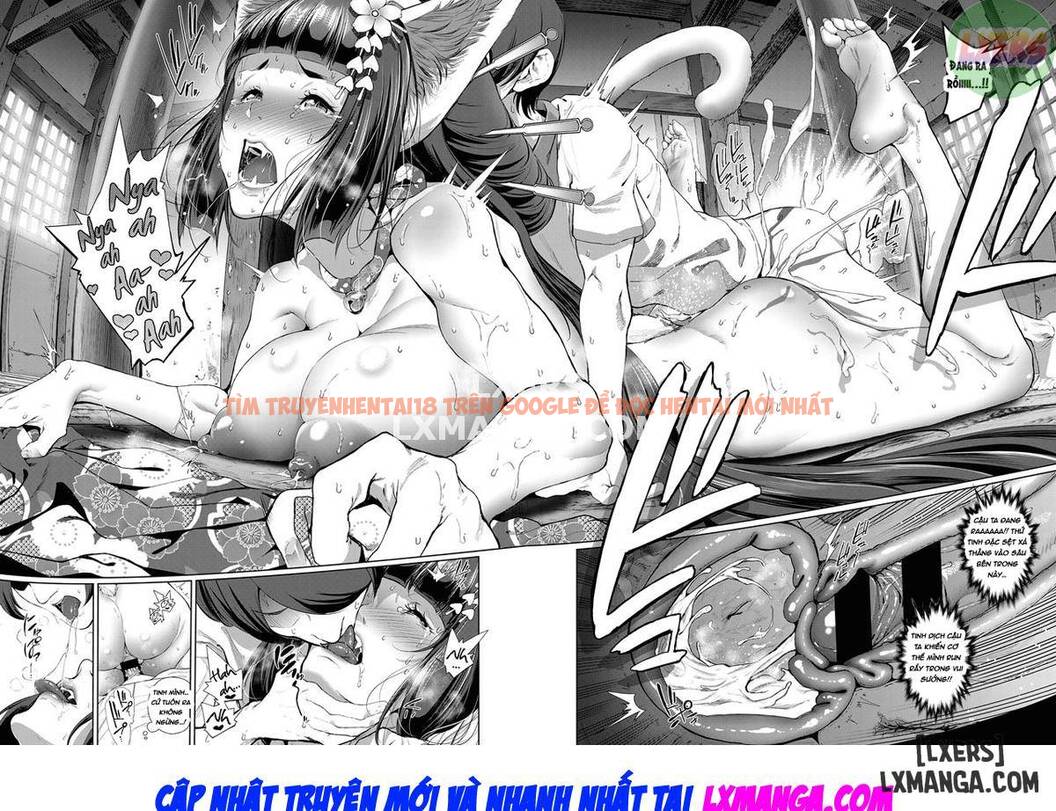 Trang truyện 34 trong truyện tranh Boy Meets Cat Goddess - Chapter 1 - zhentaivn.pro