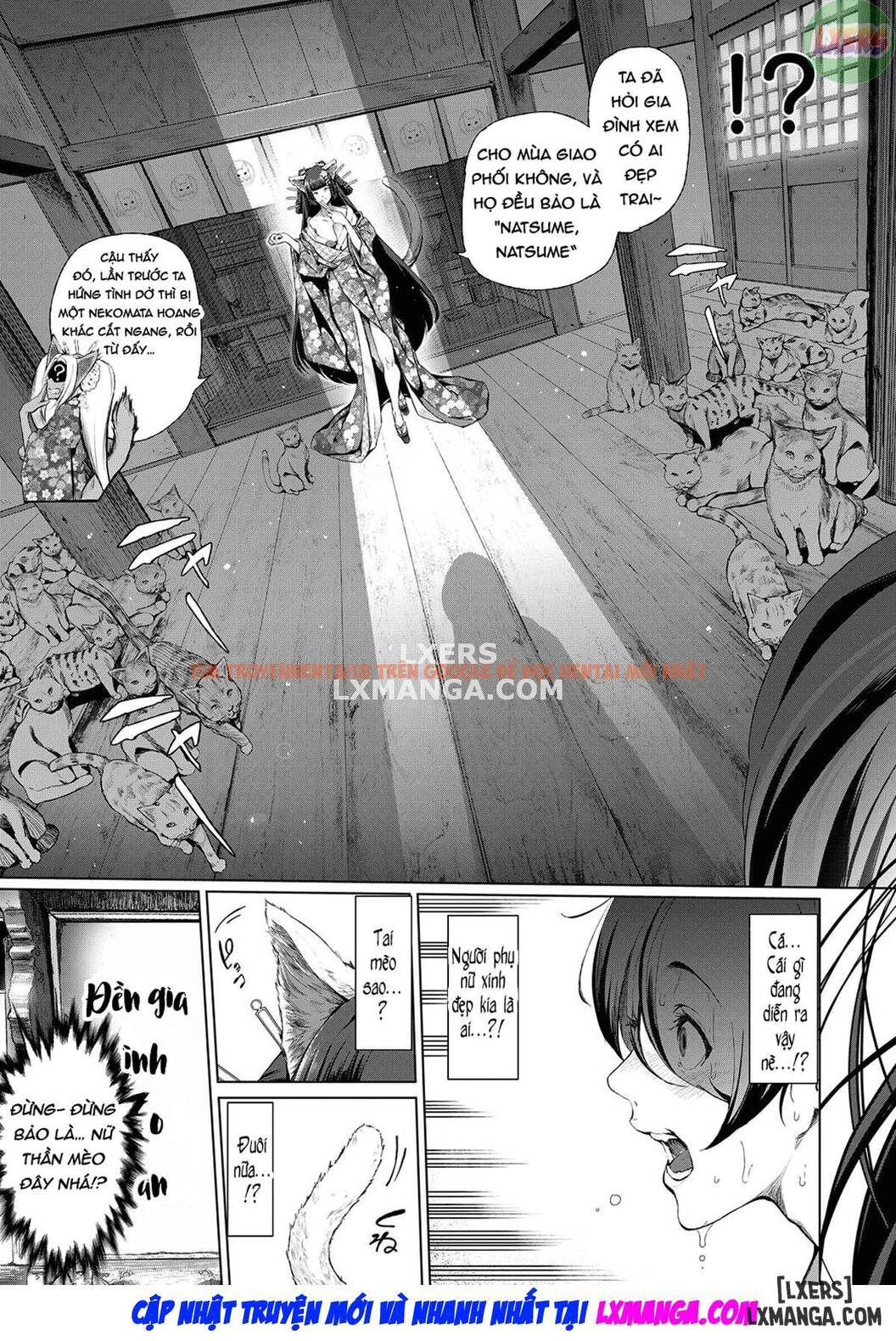 Trang truyện 5 trong truyện tranh Boy Meets Cat Goddess - Chapter 1 - zhentaivn.pro