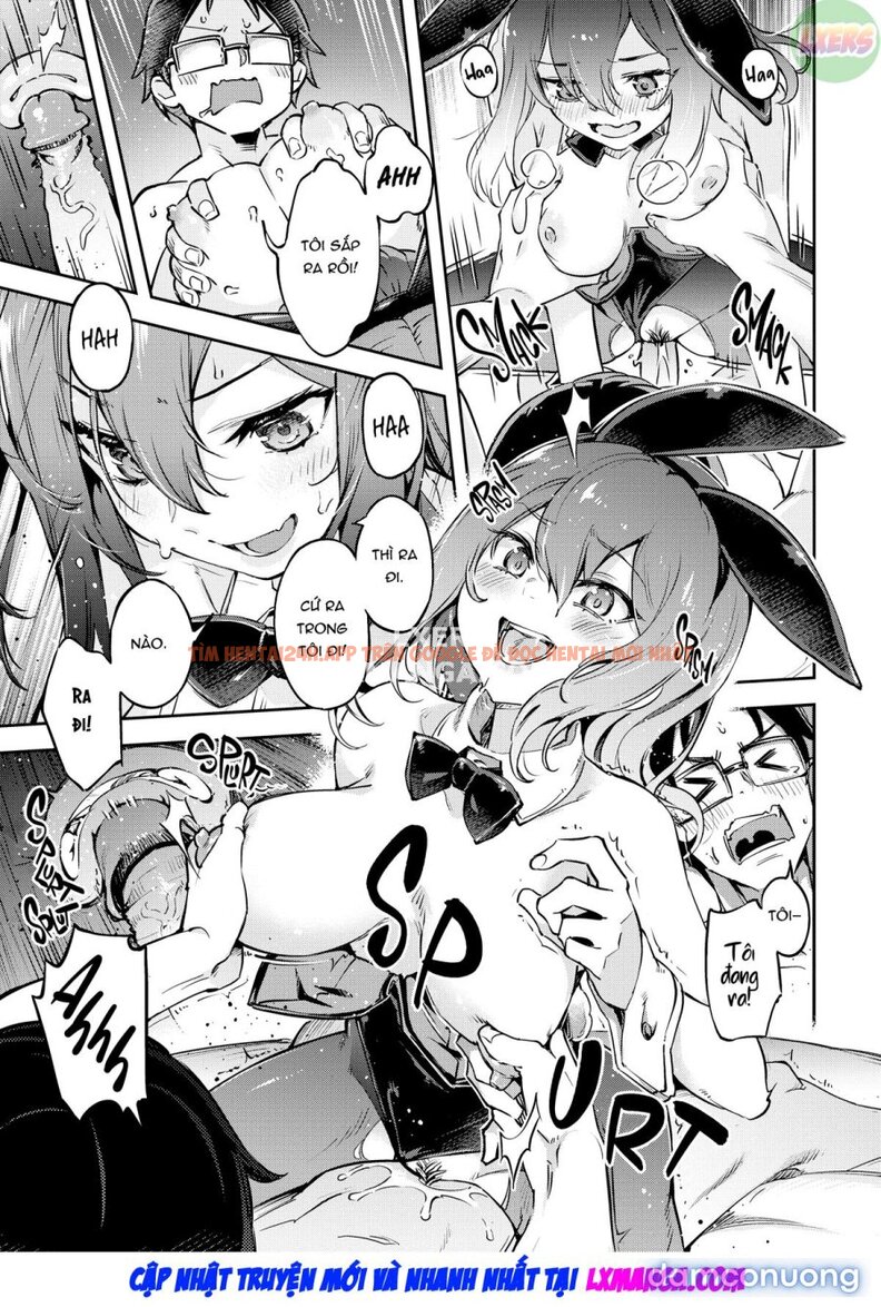 Xem ảnh Bunny Mating Season - Chapter 1 - 21 - TruyenVN.APP Xem ảnh Bunny Mating Season - Chapter 1 - 21 - TruyenVN.APP