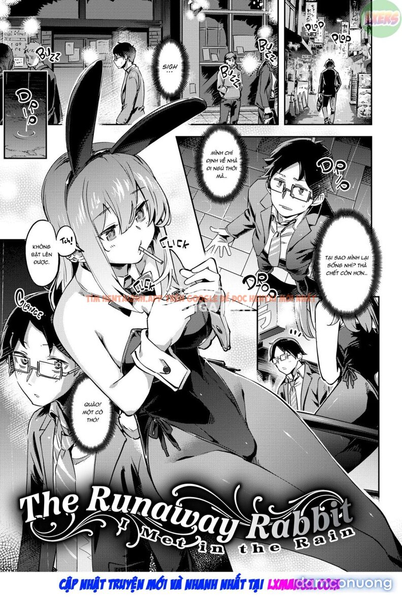 Xem ảnh Bunny Mating Season - Chapter 1 - 9 - TruyenVN.APP Xem ảnh Bunny Mating Season - Chapter 1 - 9 - TruyenVN.APP