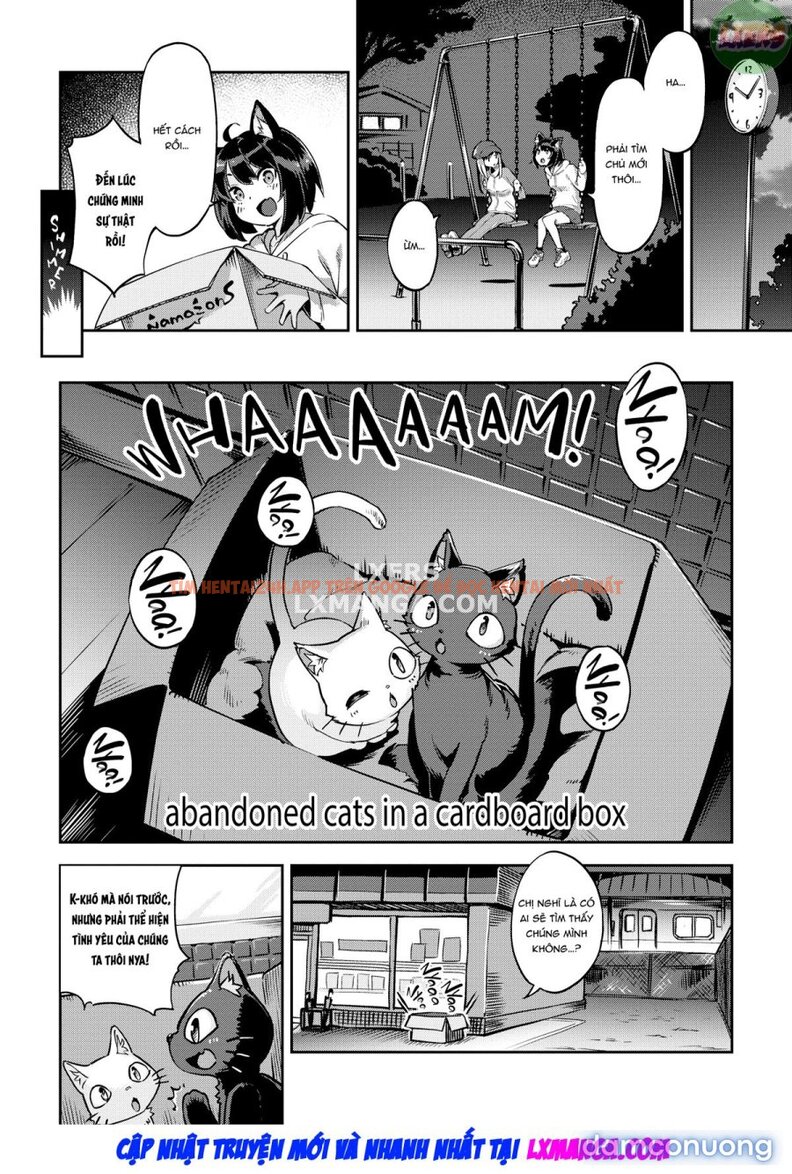 Xem ảnh Bunny Mating Season - Chapter 6 - 5 - TruyenVN.APP Xem ảnh Bunny Mating Season - Chapter 6 - 5 - TruyenVN.APP