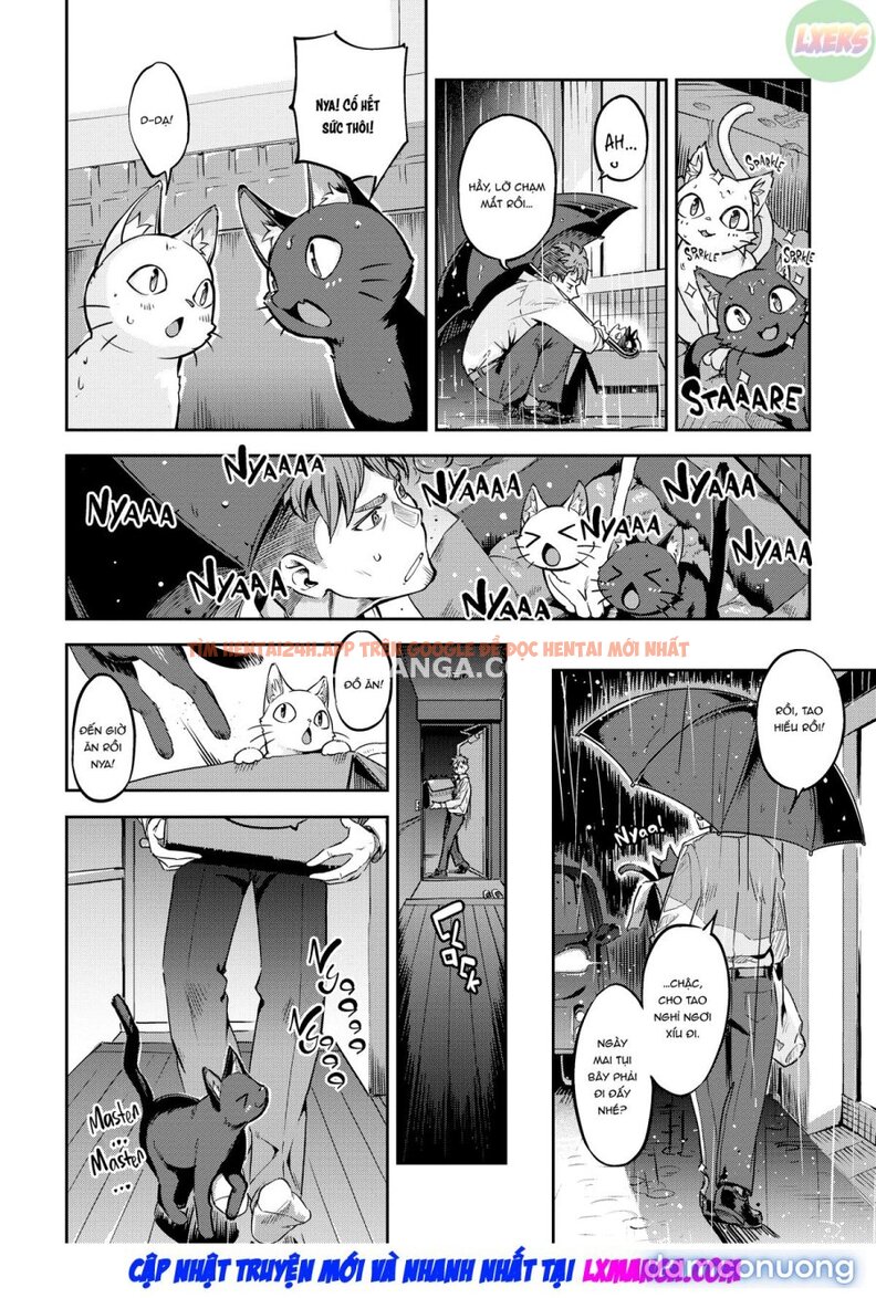 Xem ảnh Bunny Mating Season - Chapter 6 - 7 - TruyenVN.APP Xem ảnh Bunny Mating Season - Chapter 6 - 7 - TruyenVN.APP