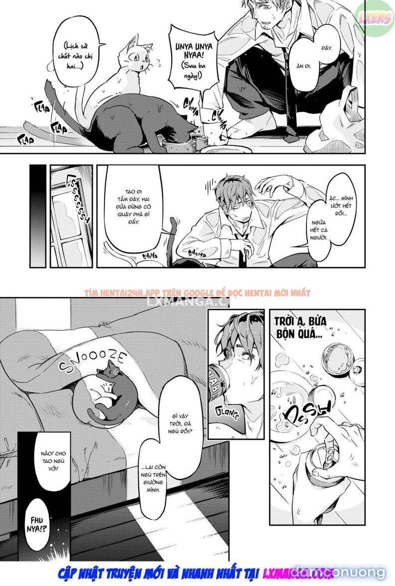 Xem ảnh Bunny Mating Season - Chapter 6 - 8 - TruyenVN.APP Xem ảnh Bunny Mating Season - Chapter 6 - 8 - TruyenVN.APP