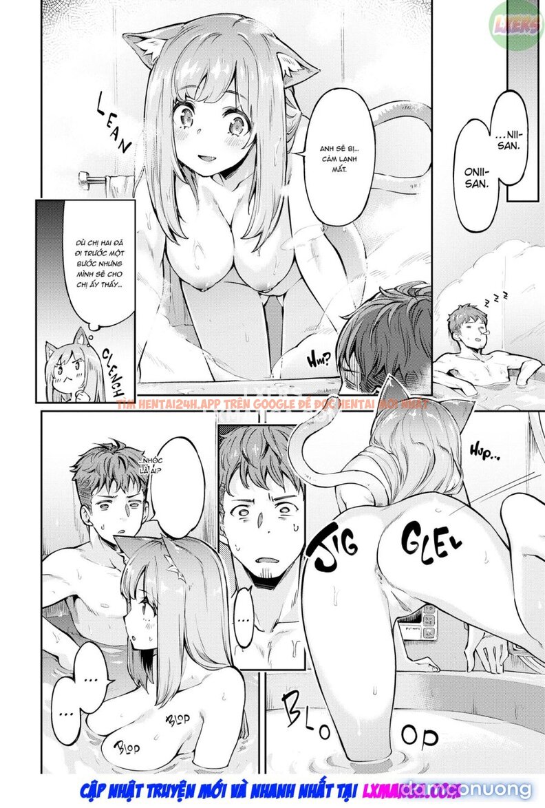 Xem ảnh Bunny Mating Season - Chapter 7 - 7 - TruyenVN.APP Xem ảnh Bunny Mating Season - Chapter 7 - 7 - TruyenVN.APP