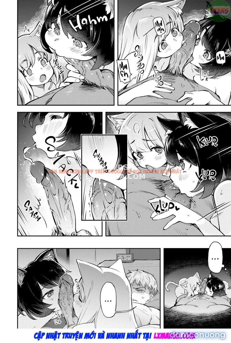 Xem ảnh Bunny Mating Season - Chapter 8 END - 5 - TruyenVN.APP