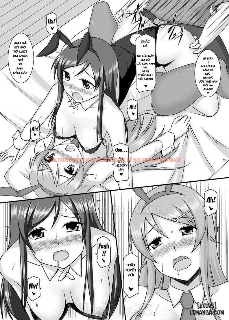 Trang truyện 35 trong truyện tranh Bunny Sister - One Shot - truyentvn.net
