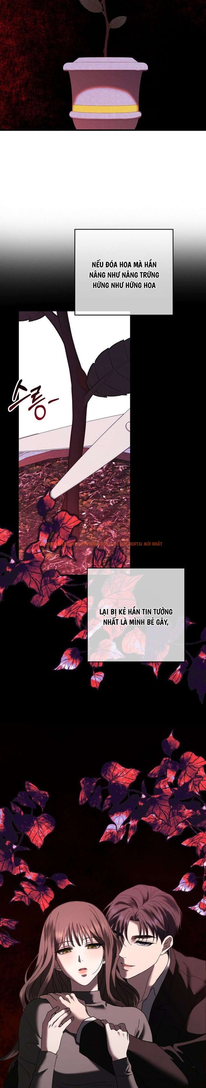 Xem ảnh 4 2 trong truyện hentai Càng Trốn Chạy - Chapter 9 - www.hentaitvn.net