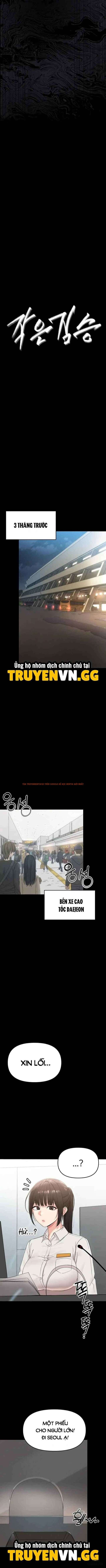 Xem ảnh 5 69c14a449f72e trong truyện hentai Cậu Bé Tinh Ranh - Chapter 1 - hentaitvn.net