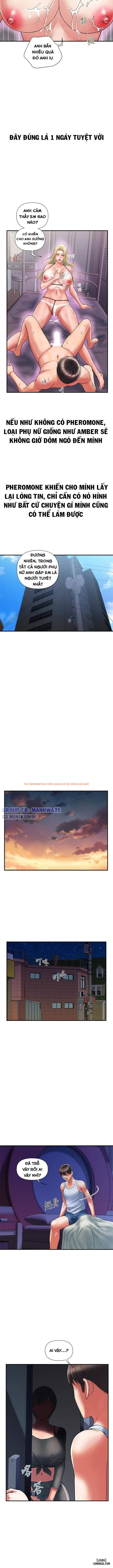 Xem ảnh 13 trong truyện hentai Chất Dẫn Dục. - Chapter 14 - hentaitvn.net