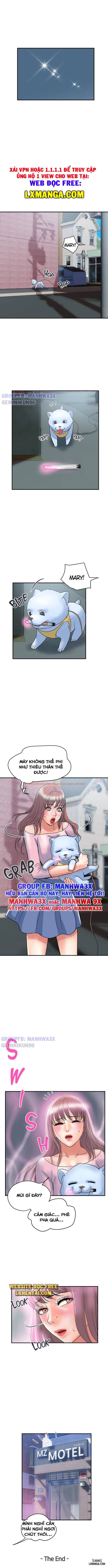 Xem ảnh 9 trong truyện hentai Chất Dẫn Dục. - Chapter 55 END - hentaitvn.net