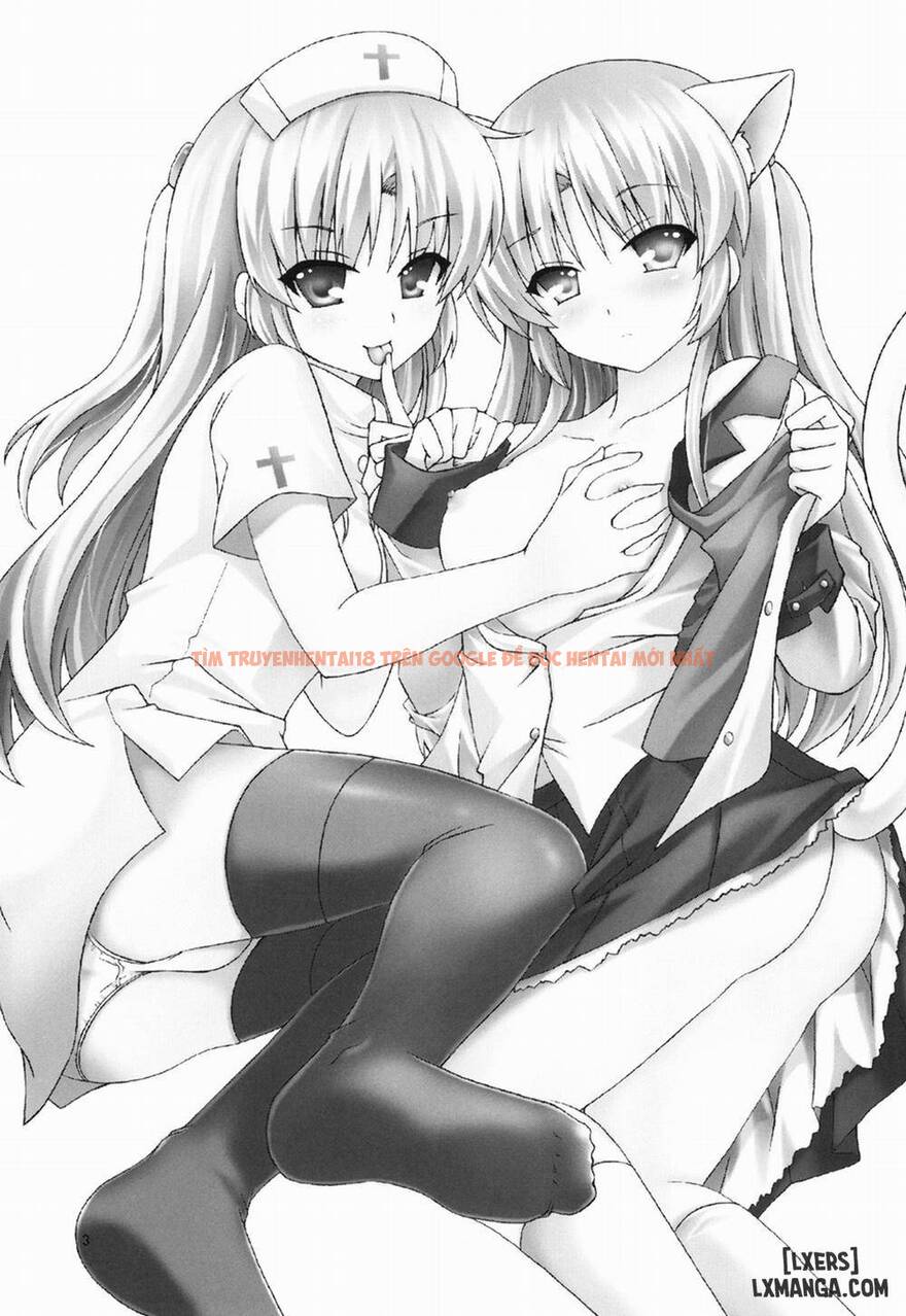 Xem ảnh page_002 trong truyện hentai Chiến Dịch Tình Yêu (Angel Beats) [Love Operation (Angel Beats!); ラブオペ (Angel Beats!)] - One Shot - hentaitvn.net