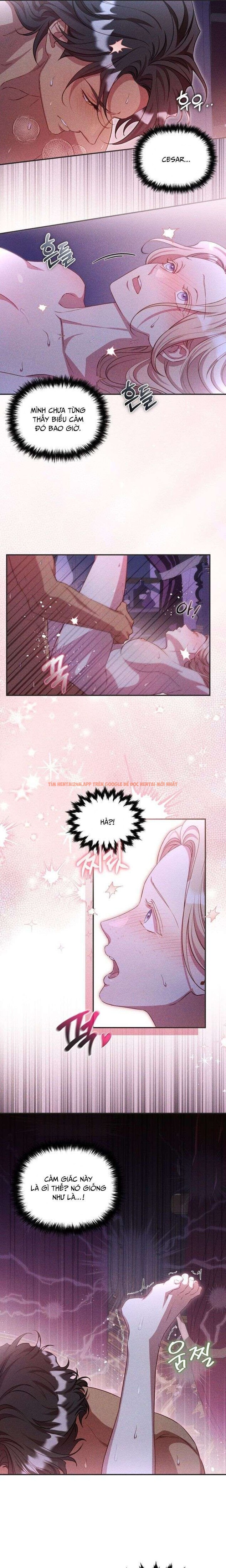 Xem ảnh 8 0 trong truyện hentai Cuộc Hôn Nhân Thế Thân Của Lily Bush - Chapter 19 - www.hentaitvn.net