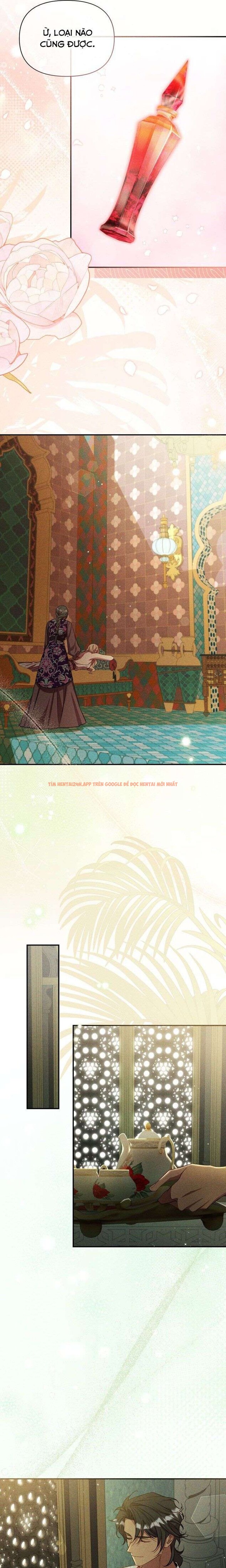 Xem ảnh 8 0 trong truyện hentai Cuộc Hôn Nhân Thế Thân Của Lily Bush - Chapter 21 - www.hentaitvn.net