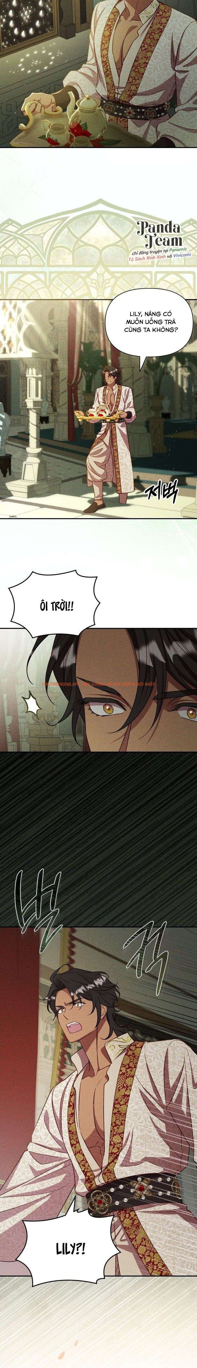 Xem ảnh 8 1 trong truyện hentai Cuộc Hôn Nhân Thế Thân Của Lily Bush - Chapter 21 - www.hentaitvn.net