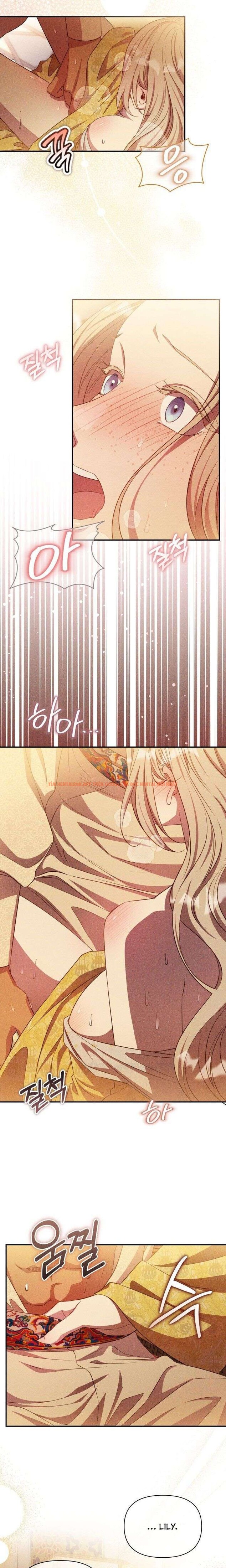 Xem ảnh 10 0 trong truyện hentai Cuộc Hôn Nhân Thế Thân Của Lily Bush - Chapter 23 - www.hentaitvn.net