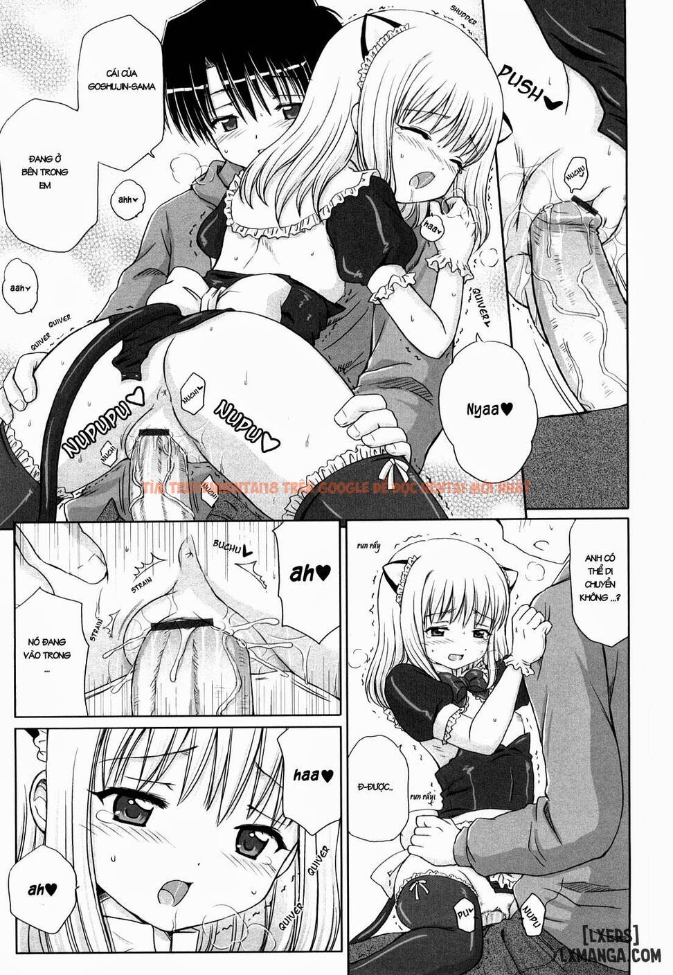 Trang truyện 15 trong truyện tranh Daisuki Daisuki - Chapter 1 - www.truyentvn.net