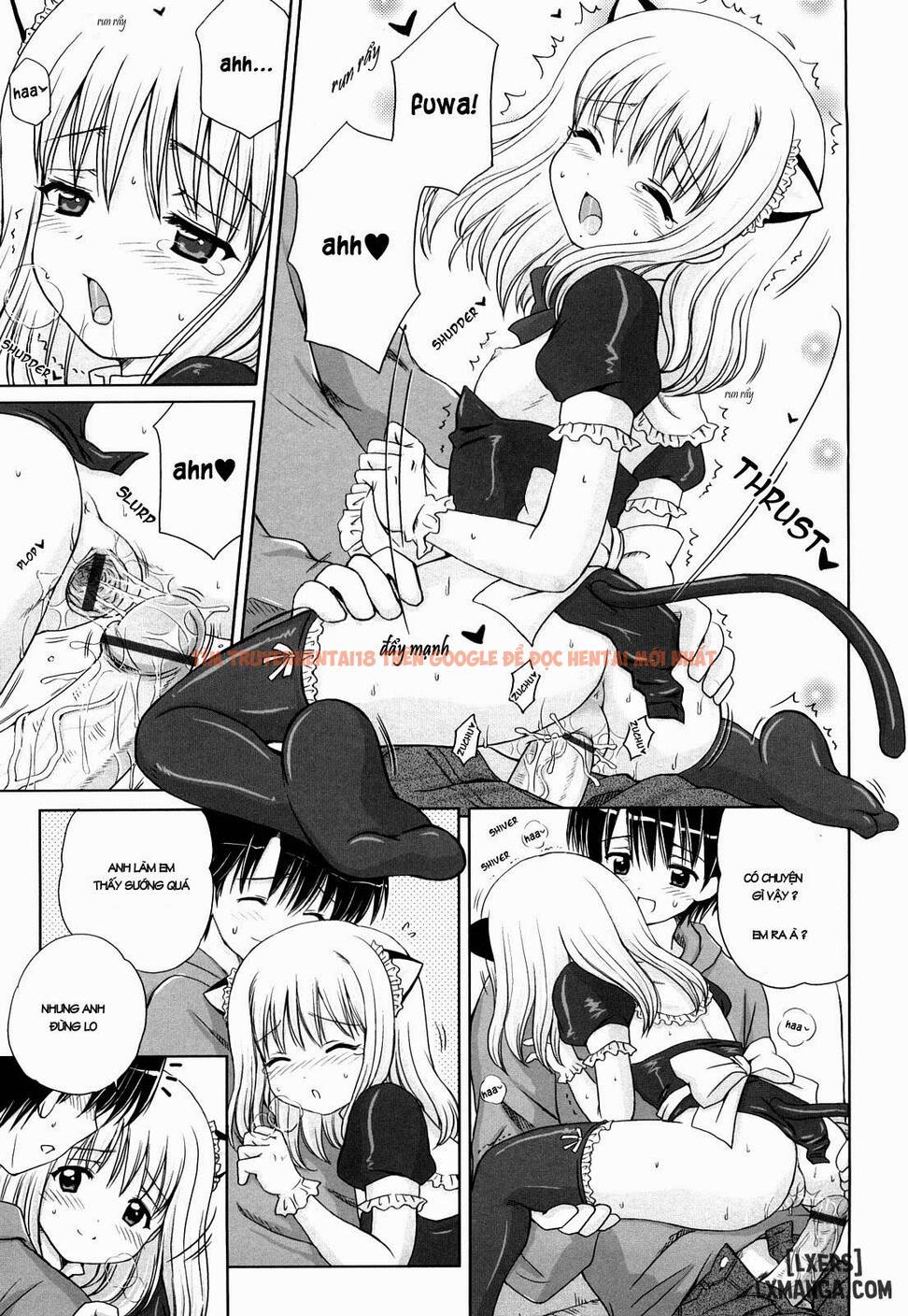 Trang truyện 17 trong truyện tranh Daisuki Daisuki - Chapter 1 - www.truyentvn.net