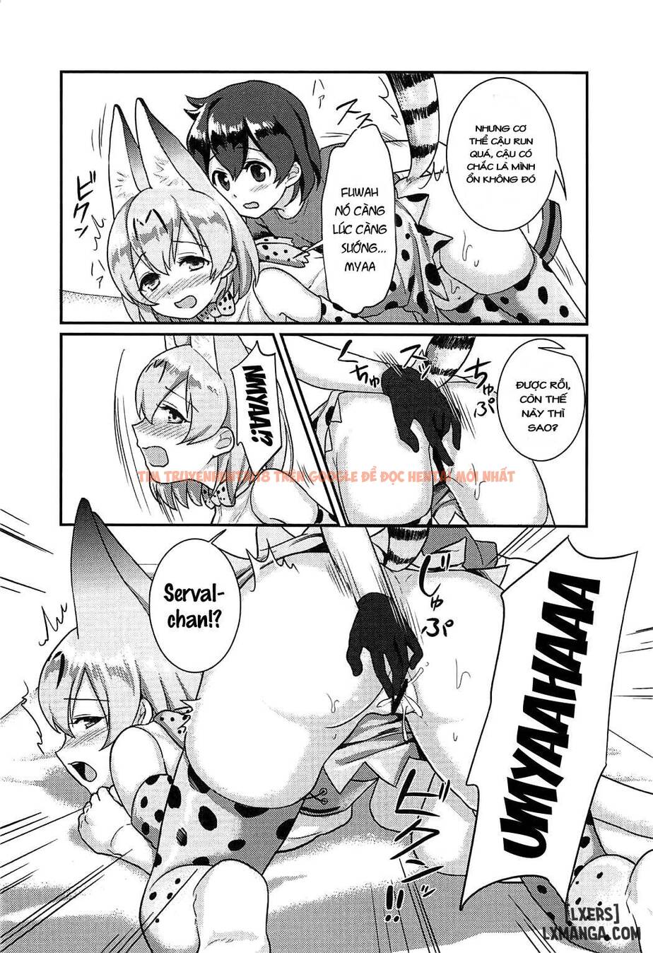 Xem ảnh 12 trong truyện hentai Daisuki Ni Kimatteru - One Shot - hentaitvn.net